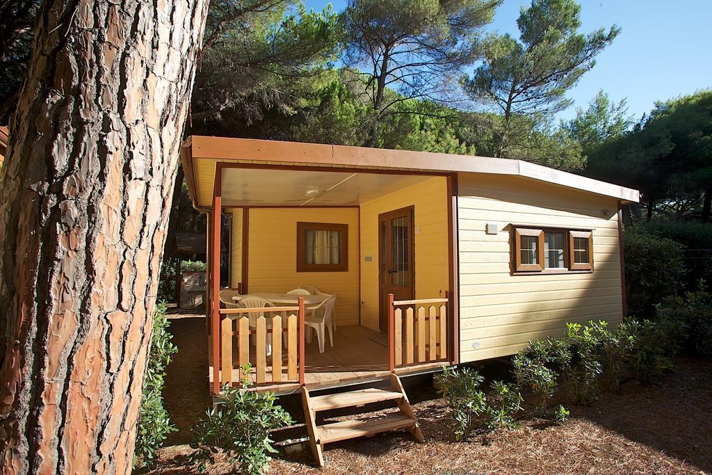 Le Esperidi Camping Ecoresort Marina Di Bibbona Phòng bức ảnh