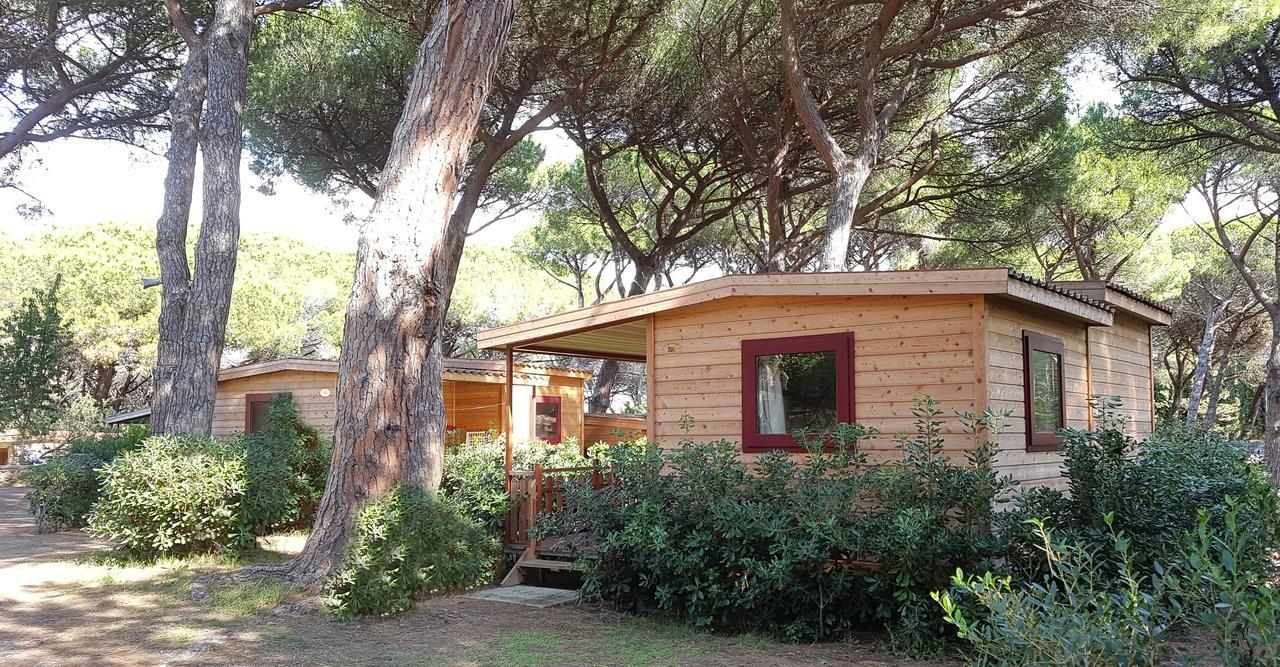 Le Esperidi Camping Ecoresort Marina Di Bibbona Ngoại thất bức ảnh
