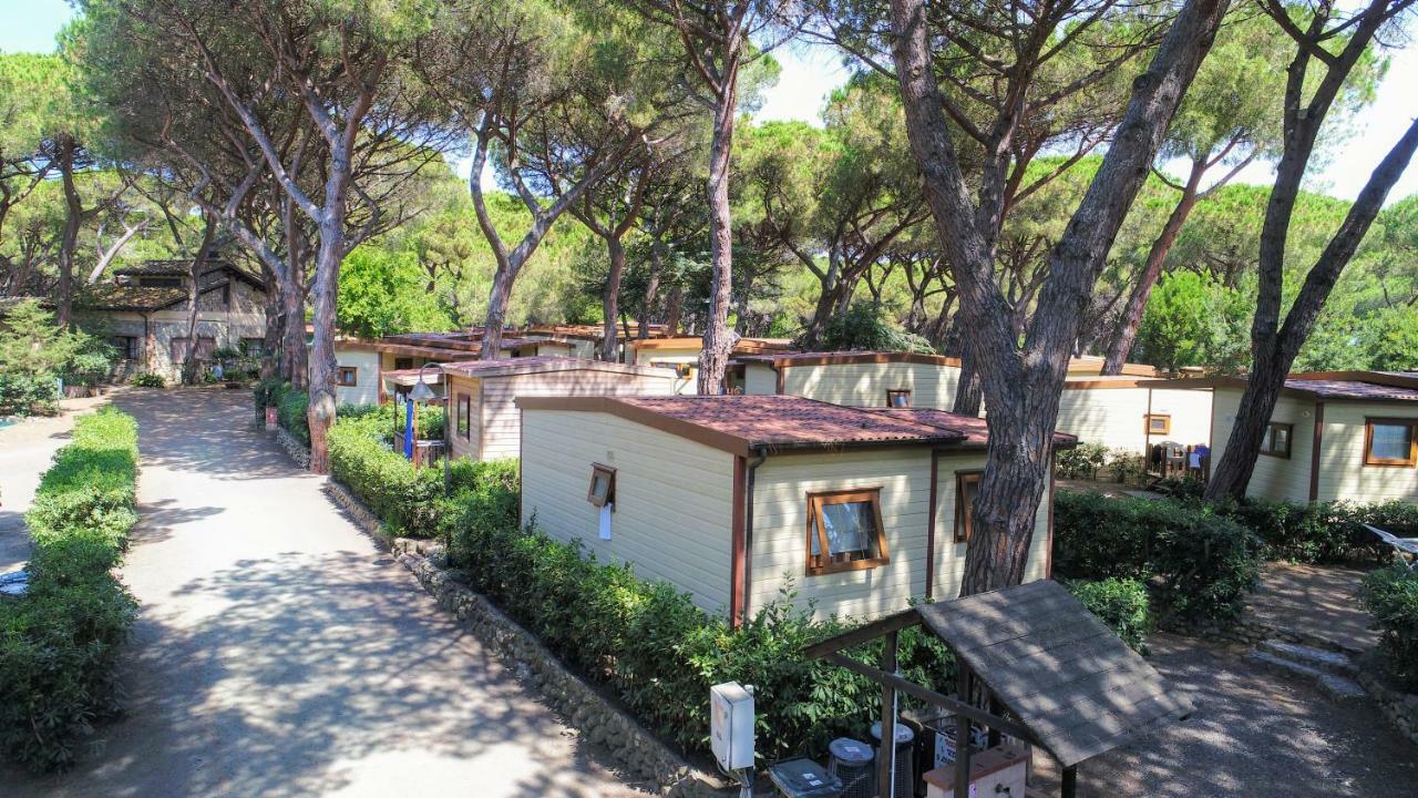 Le Esperidi Camping Ecoresort Marina Di Bibbona Ngoại thất bức ảnh